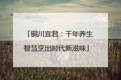 铜川宜君：千年养生智慧烹出时代新滋味
