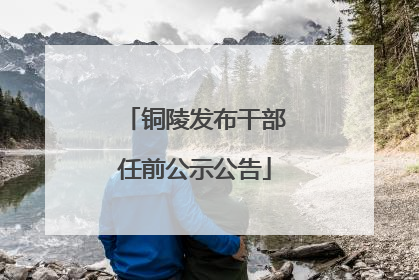 铜陵发布干部任前公示公告