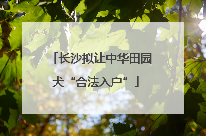 长沙拟让中华田园犬“合法入户”