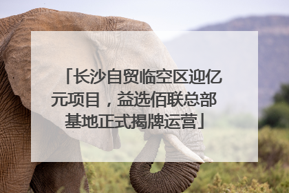 长沙自贸临空区迎亿元项目，益选佰联总部基地正式揭牌运营