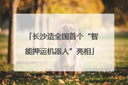 长沙造全国首个“智能押运机器人”亮相