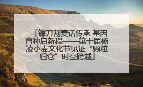 镰刀割麦话传承 基因育种启新程——第十届杨凌小麦文化节见证“颗粒归仓”时空跨越