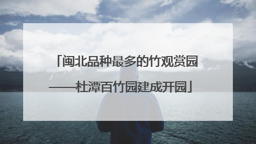 闽北品种最多的竹观赏园——杜潭百竹园建成开园
