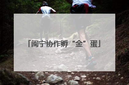 闽宁协作孵“金”蛋