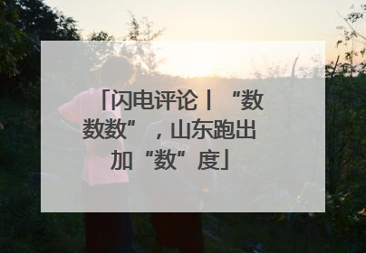 闪电评论丨“数数数”，山东跑出加“数”度
