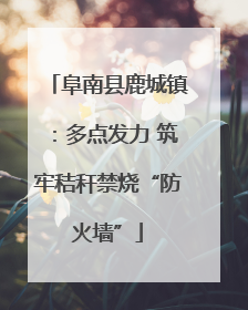 阜南县鹿城镇：多点发力 筑牢秸秆禁烧“防火墙”