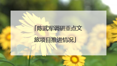 陈武军调研重点文旅项目推进情况