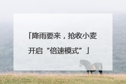 降雨要来，抢收小麦开启“倍速模式”