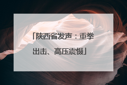 陕西省发声：重拳出击、高压震慑