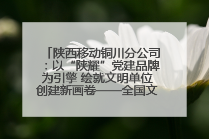 陕西移动铜川分公司：以“陕耀”党建品牌为引擎 绘就文明单位创建新画卷——全国文明单位创建纪实