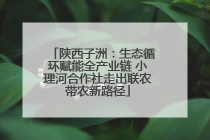 陕西子洲：生态循环赋能全产业链 小理河合作社走出联农带农新路径