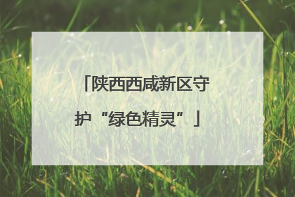 陕西西咸新区守护“绿色精灵”