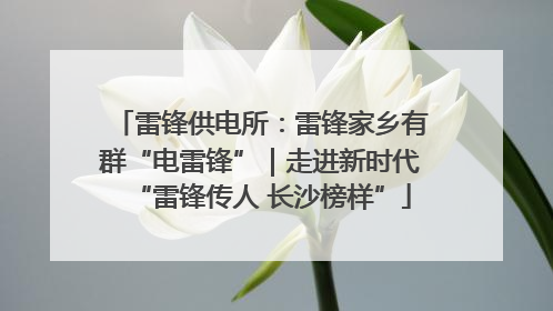 雷锋供电所：雷锋家乡有群“电雷锋”｜走进新时代“雷锋传人 长沙榜样”
