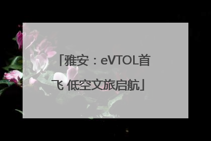 雅安：eVTOL首飞 低空文旅启航
