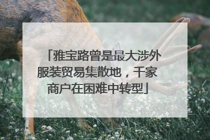 雅宝路曾是最大涉外服装贸易集散地，千家商户在困难中转型