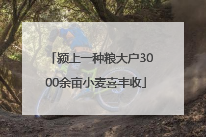 颍上一种粮大户3000余亩小麦喜丰收