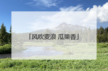 风吹麦浪 瓜果香