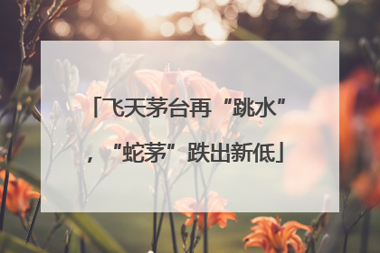 飞天茅台再“跳水”，“蛇茅”跌出新低