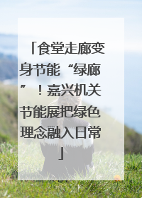 食堂走廊变身节能“绿廊”！嘉兴机关节能展把绿色理念融入日常