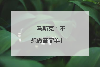 马斯克：不想做替罪羊