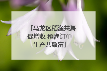 马龙区稻渔共舞促增收 稻渔订单生产共致富