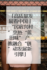 高质量发展看中国丨“民宿兴村”烹热“蓝田味” 产教融合“链”动发展新引擎