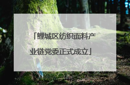 鲤城区纺织面料产业链党委正式成立