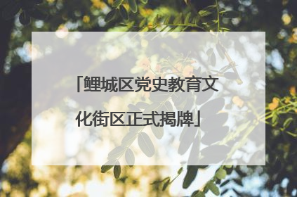 鲤城区党史教育文化街区正式揭牌