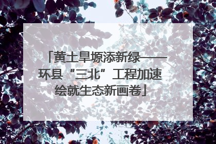 黄土旱塬添新绿——环县“三北”工程加速绘就生态新画卷