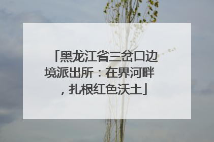 黑龙江省三岔口边境派出所：在界河畔，扎根红色沃土