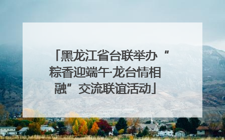 黑龙江省台联举办“粽香迎端午·龙台情相融”交流联谊活动