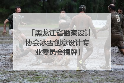 黑龙江省勘察设计协会冰雪创意设计专业委员会揭牌