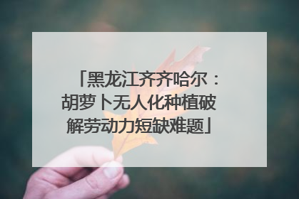黑龙江齐齐哈尔：胡萝卜无人化种植破解劳动力短缺难题