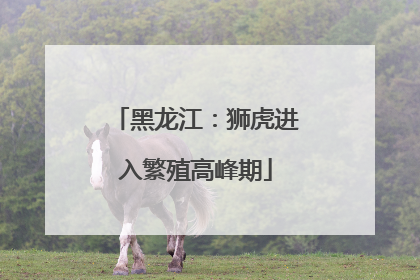 黑龙江：狮虎进入繁殖高峰期