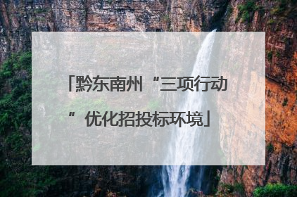 黔东南州“三项行动”优化招投标环境