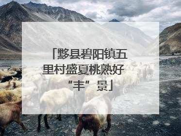 黟县碧阳镇五里村盛夏桃熟好“丰”景