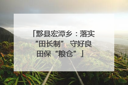 黟县宏潭乡：落实“田长制” 守好良田保“粮仓”
