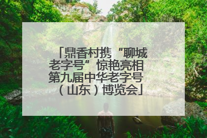 鼎香村携“聊城老字号”惊艳亮相第九届中华老字号（山东）博览会