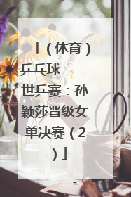 （体育）乒乓球——世乒赛：孙颖莎晋级女单决赛（2）