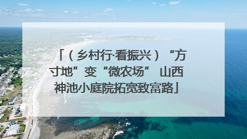 （乡村行·看振兴）“方寸地”变“微农场” 山西神池小庭院拓宽致富路