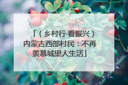 （乡村行·看振兴）内蒙古西部村民：不再羡慕城里人生活