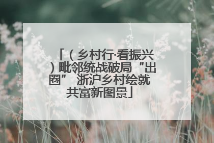 （乡村行·看振兴）毗邻统战破局“出圈” 浙沪乡村绘就共富新图景