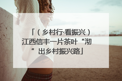 （乡村行·看振兴）江西信丰一片茶叶“沏”出乡村振兴路