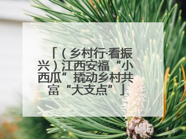 （乡村行·看振兴）江西安福“小西瓜”撬动乡村共富“大支点”