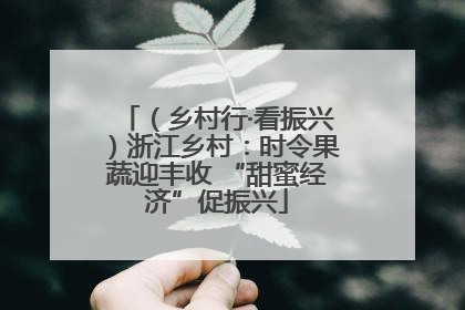 （乡村行·看振兴）浙江乡村：时令果蔬迎丰收 “甜蜜经济”促振兴