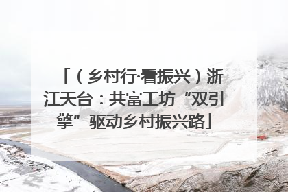 （乡村行·看振兴）浙江天台：共富工坊“双引擎”驱动乡村振兴路