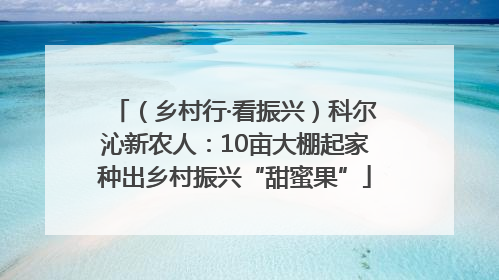 （乡村行·看振兴）科尔沁新农人：10亩大棚起家种出乡村振兴“甜蜜果”