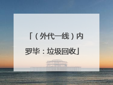 （外代一线）内罗毕：垃圾回收