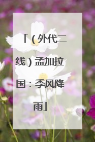 （外代二线）孟加拉国：季风降雨
