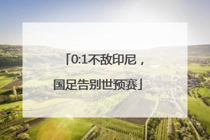 0:1不敌印尼，国足告别世预赛